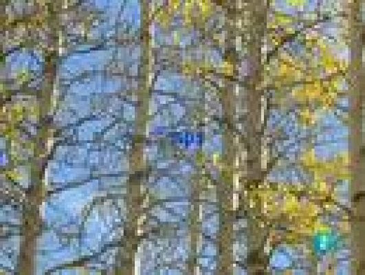 L'Informatiu - El temps en Catalunya - 20/10/10