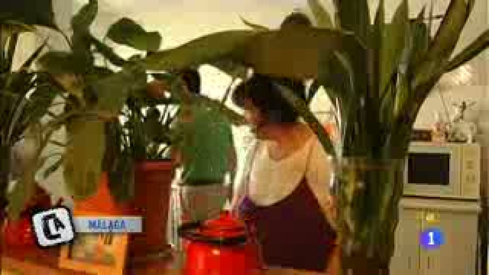 Comando Actualidad - Tengo una idea: buscando trabajo