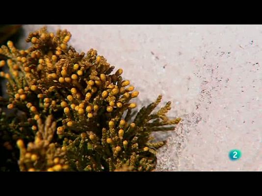 Biodiario - En Sierra Nevada