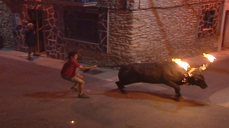 El Escarabajo Verde (22/10/10): Los otros toros catalanes