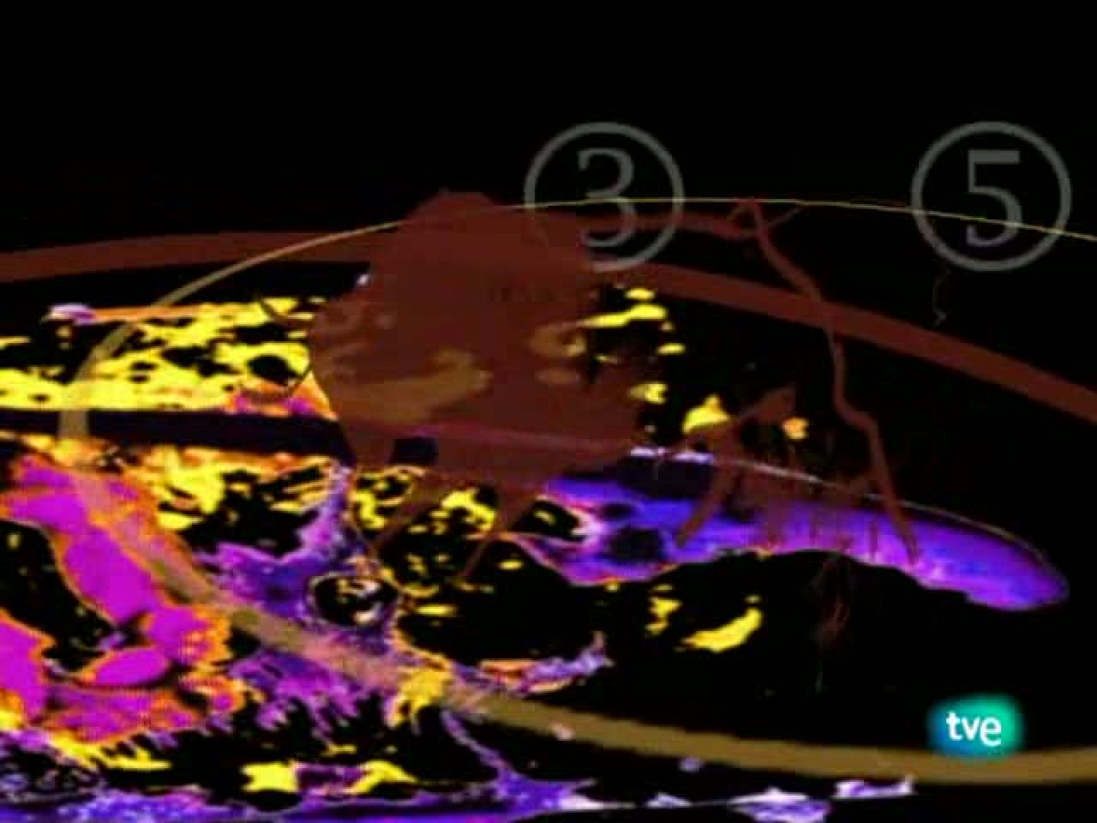 Tendido Cero (23/10/10)