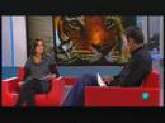 Para todos La 2 - ONG: Tigres