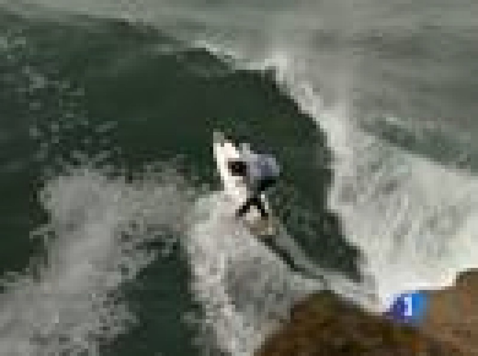 Sin programa: Surf en aguas frías | RTVE Play