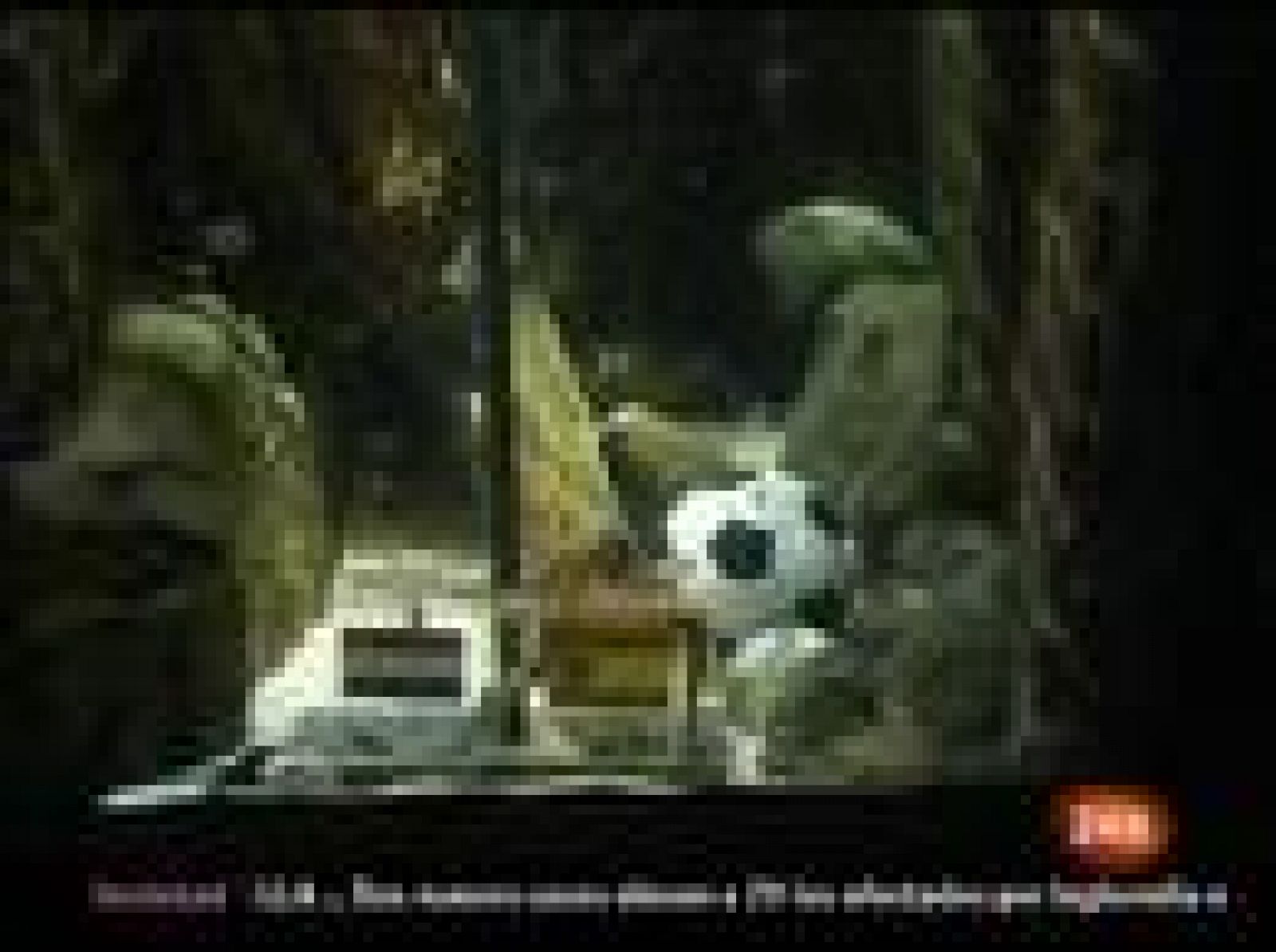 Fallece el pulpo Paul | Ver