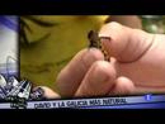 Destino: España - Galicia III