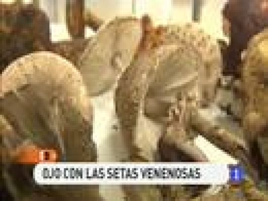 España Directo - Ojo con las setas venenosas