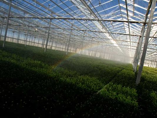 ¿Te acuerdas? - Los invernaderos de Almería