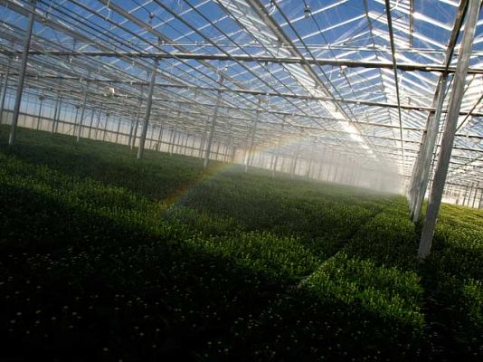 ¿Te acuerdas? - Los invernaderos de Almería
