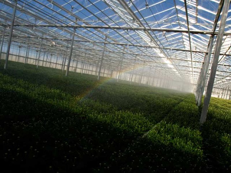 ¿Te acuerdas? - Los invernaderos de Almería