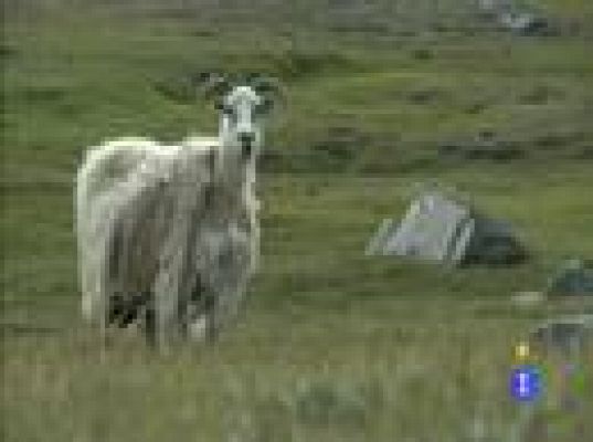 Españoles en el mundo - Groenlandia - Natalia