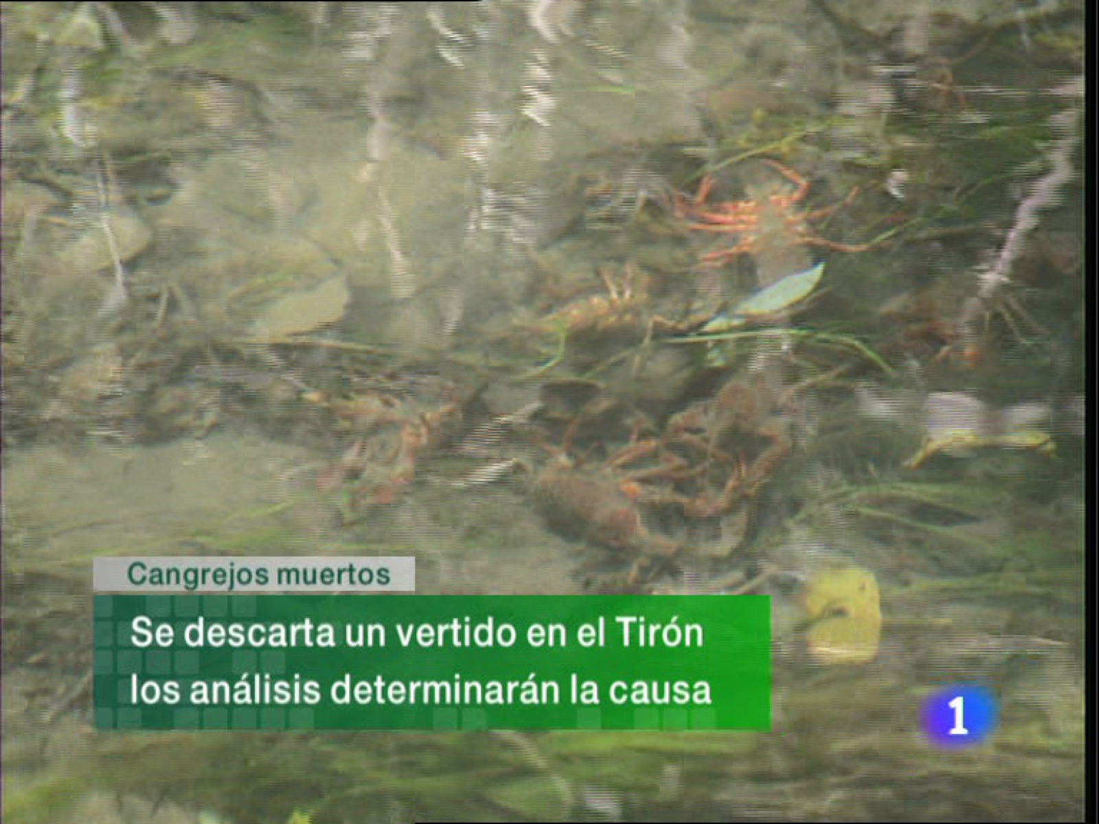 Informativo  Telerioja (27/10/10)