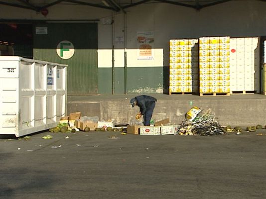 Buscando en la basura para comer