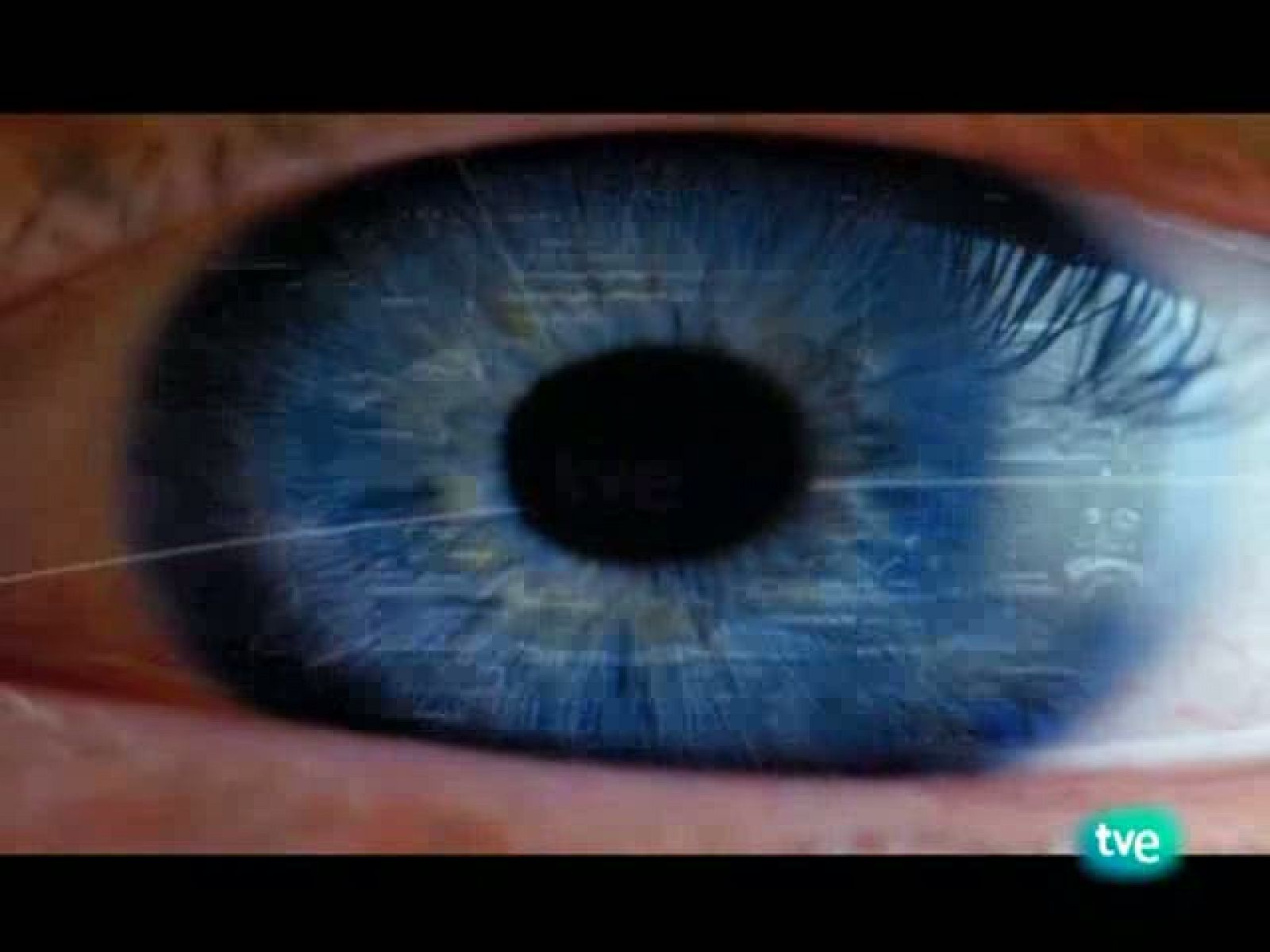 Los oficios de la cultura: El oficio del fotógrafo (27/10/10)