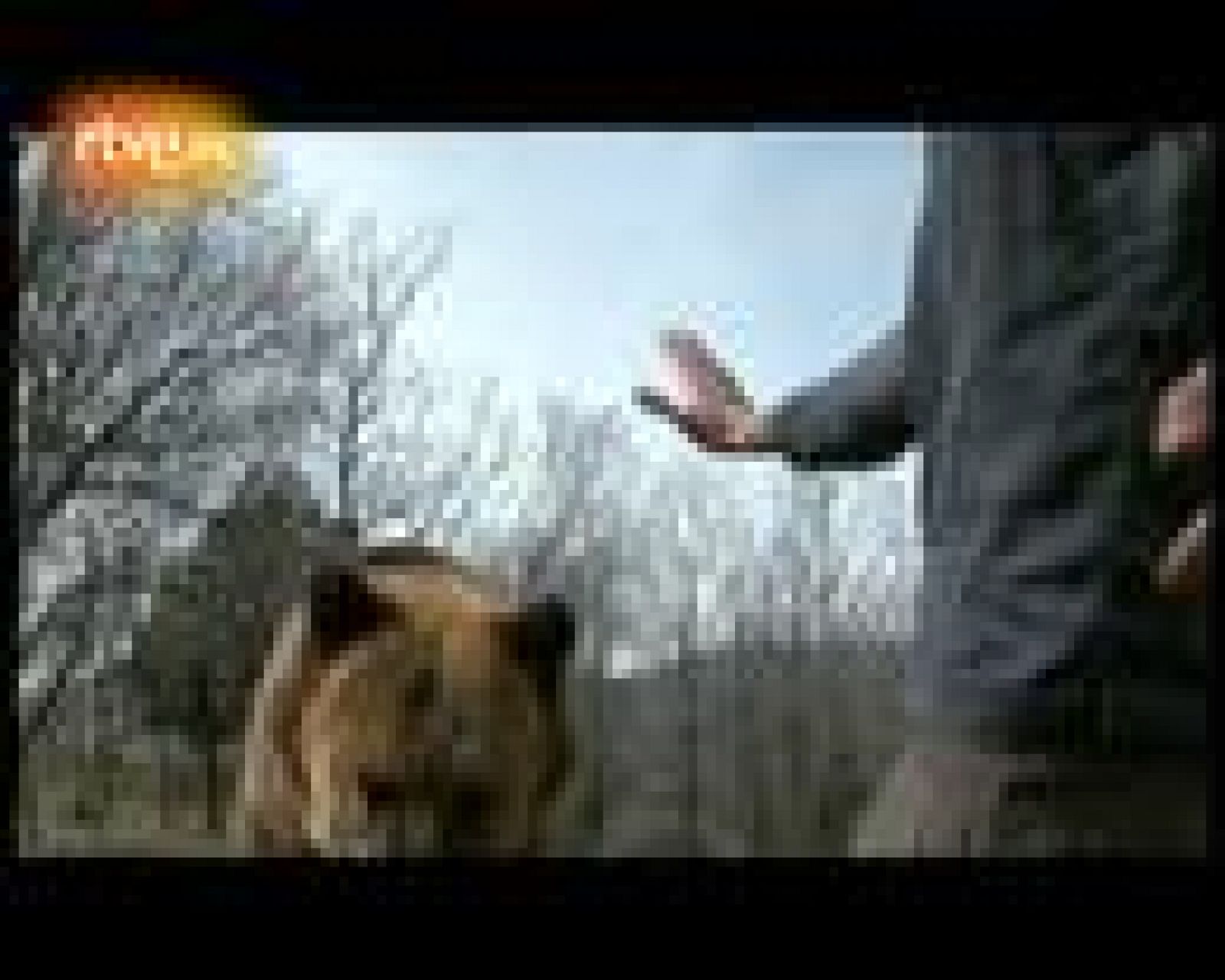 Águila Roja - Minuto de oro - Capítulo 32 | Ver