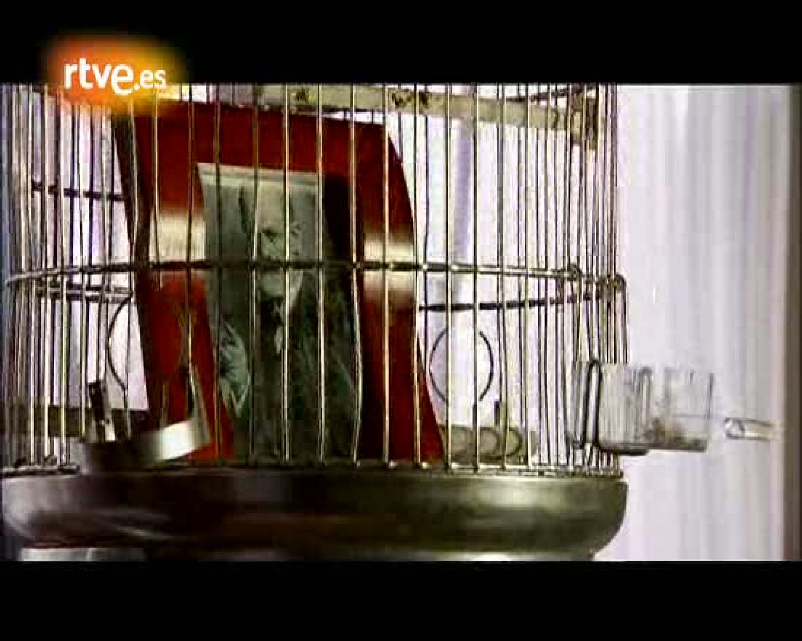 Ciudad K - Capítulo 6 : Psicoanalista - Ciudad K | Ver