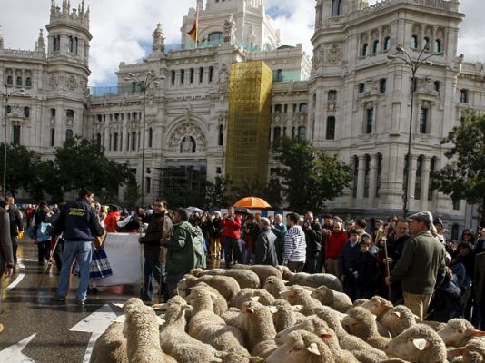  - Fiesta de la trashumancia en Madrid