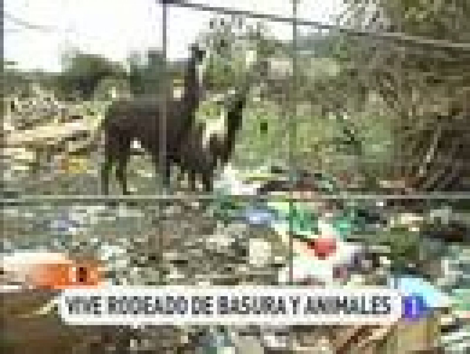 España Directo: Rodeados de basura | RTVE Play
