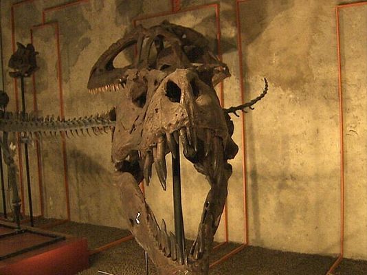  - Encuentran restos de Alosauros