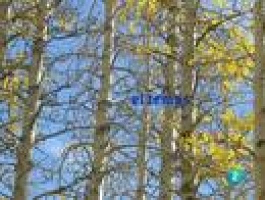 L'Informatiu - El temps en Catalunya - 29/10/10