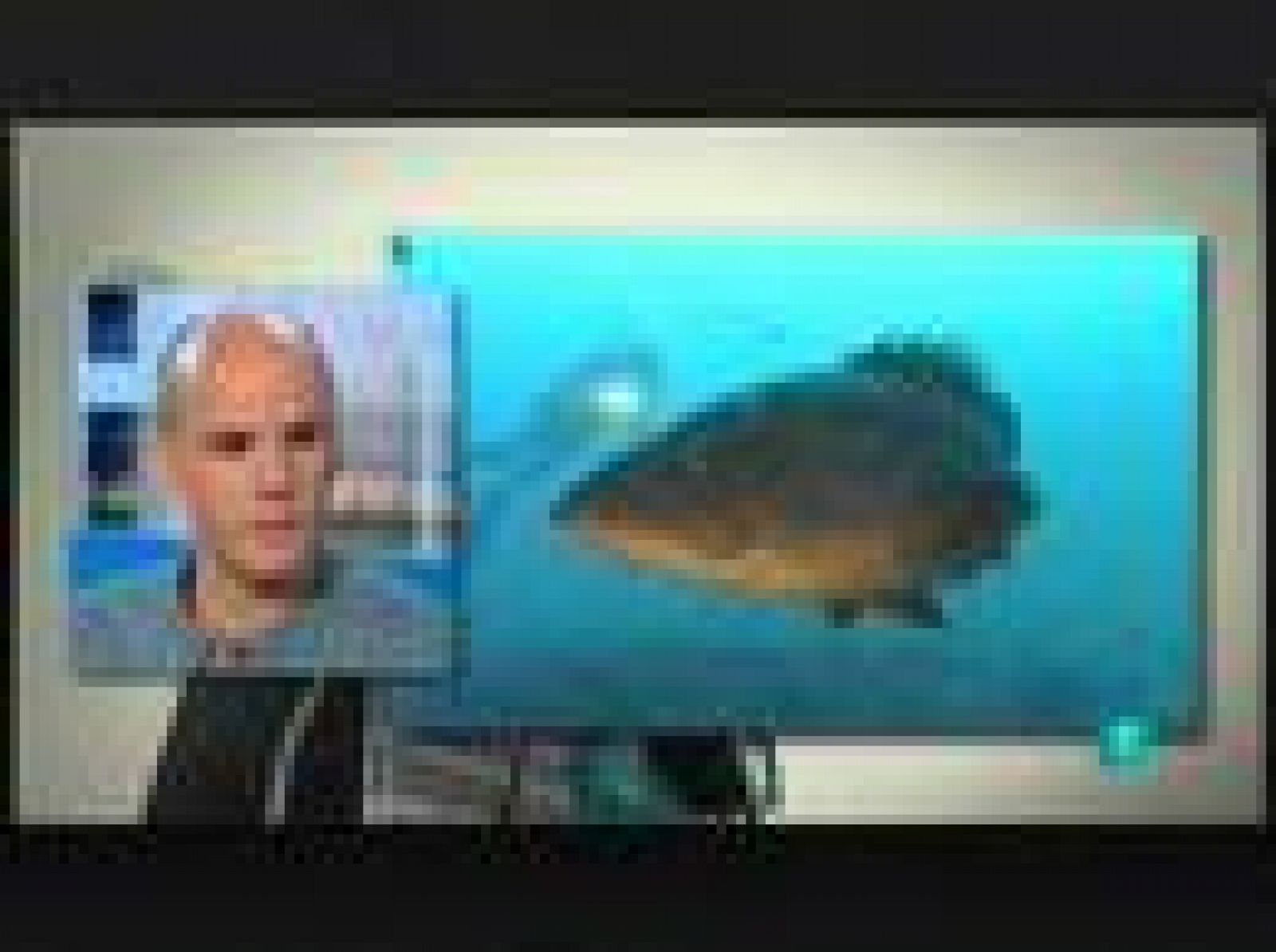Para todos La 2: ONG: Oceana | RTVE Play