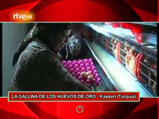  - La gallina de los huevos de oro