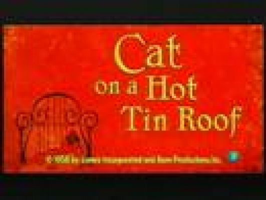 Continuarà... - Gata sobre taulada...