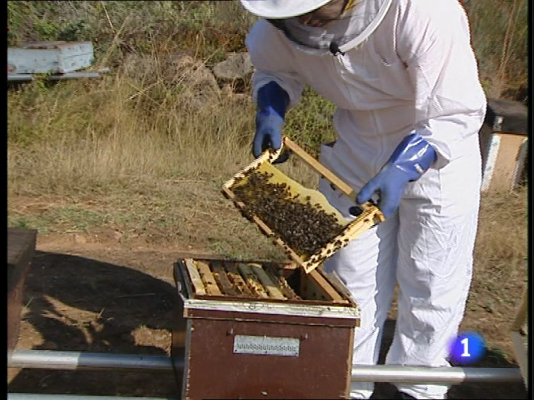 Informativo Telerioja - Informativo Telerioja - 03/11/10