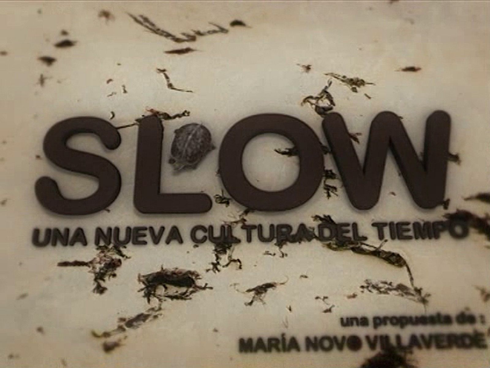 SLOW: Una nueva Cultura del Tiempo (05/11/2010) UNED