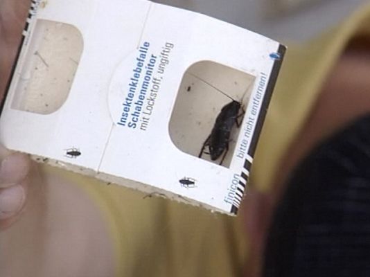 Ciencia y tecnología en Rtve.es - La plagas aumentan un 20%