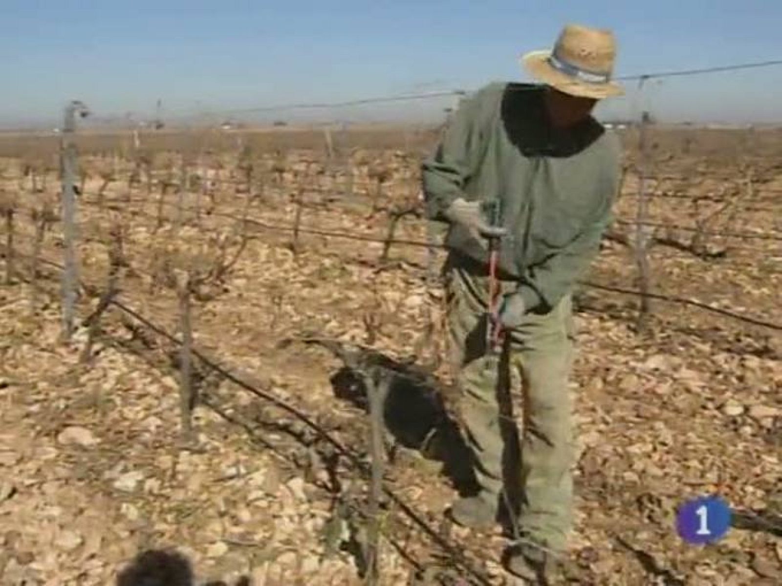 Noticias de Castilla La Mancha. Informativo de Castilla La Mancha. (04/11/10).