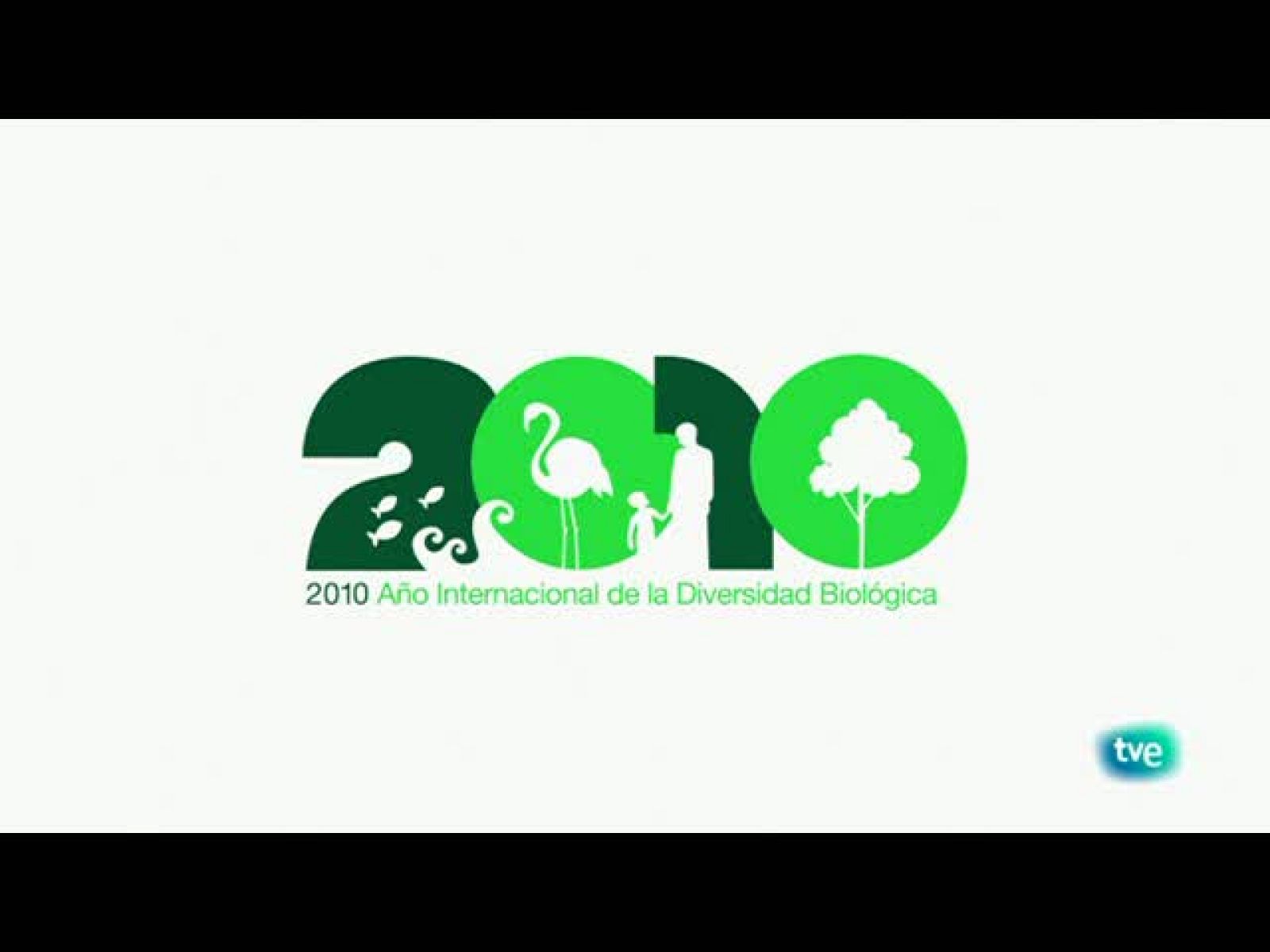 Biodiario (04/11/10)