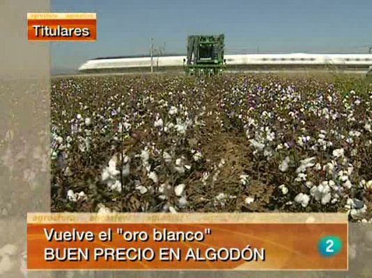 Agrosfera - Agrosfera - 06/11/10