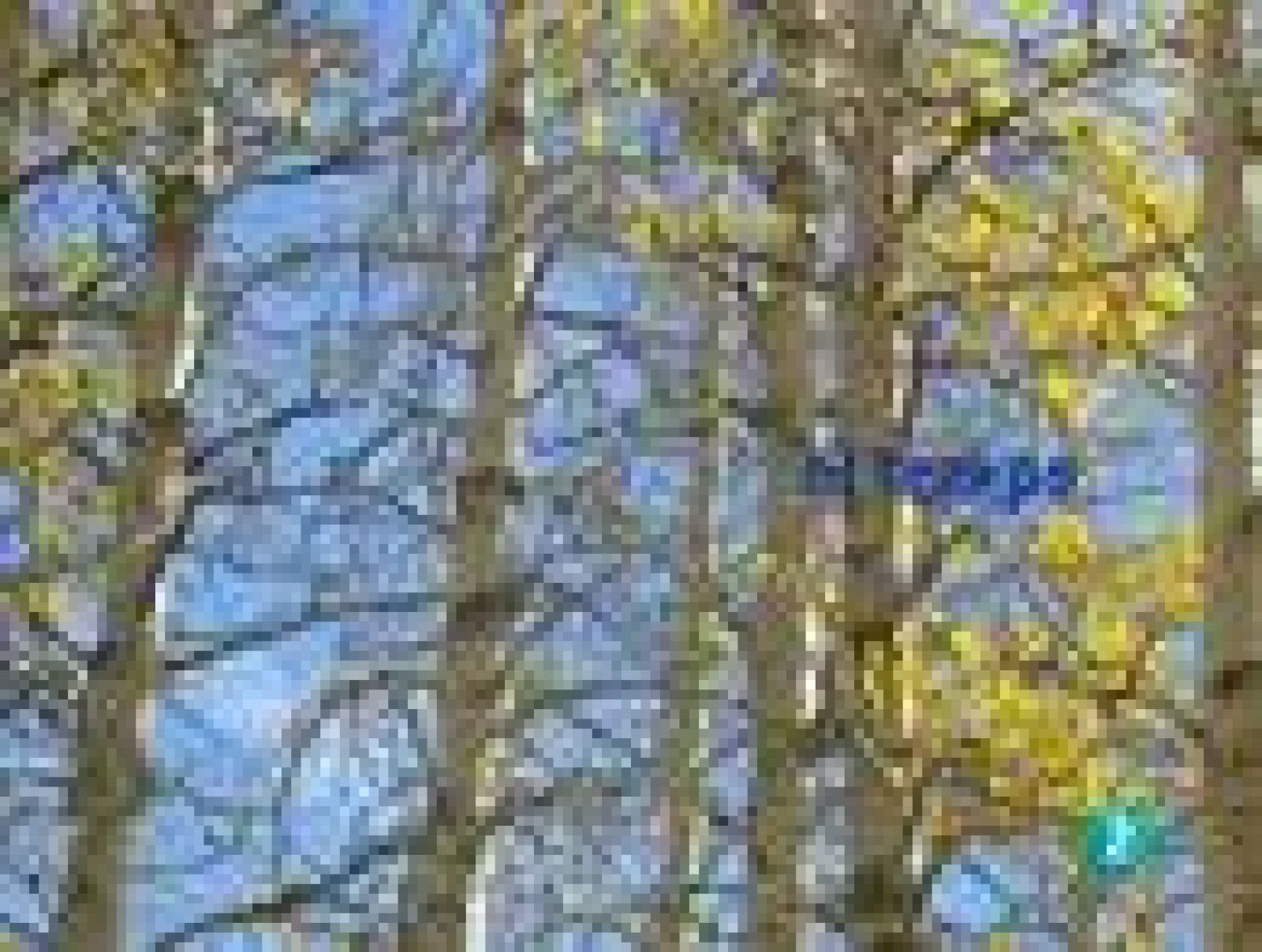 El temps (05-11-2010)