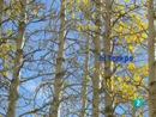 L'Informatiu - El temps en Catalunya - 05/11/10