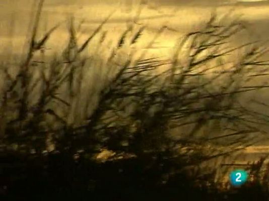 Racons de verd - El Delta de l'Ebre