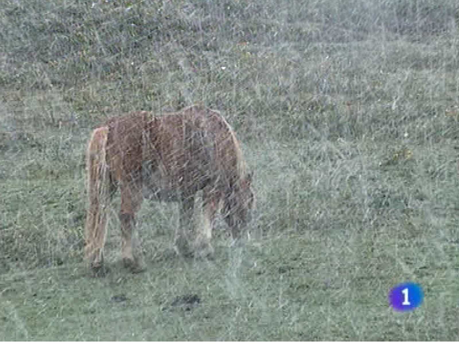 Panorama regional - 09/11/10 - Panorama Regional | Ver