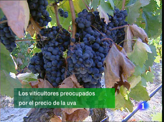 Informativo Telerioja - Informativo Telerioja - 11/11/10