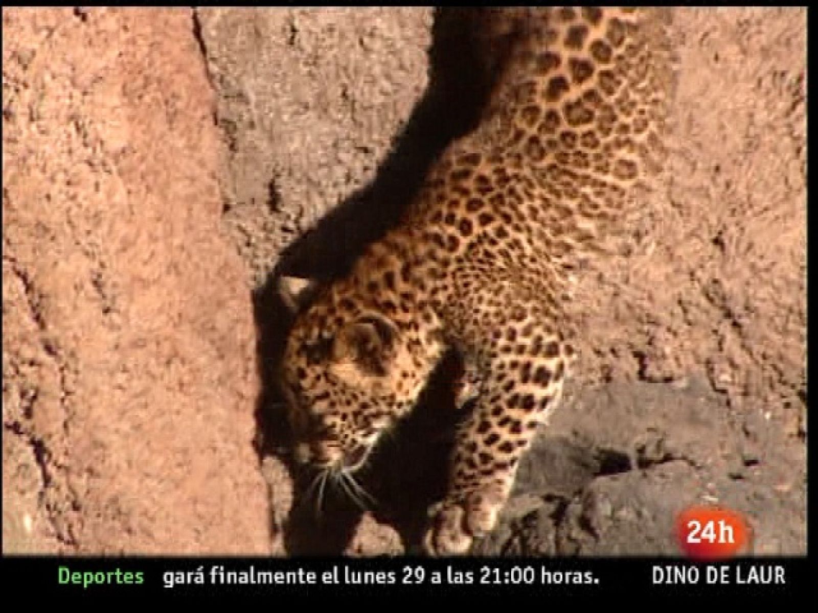 España en 24 horas - 11/11/10 - España en 24h | Ver