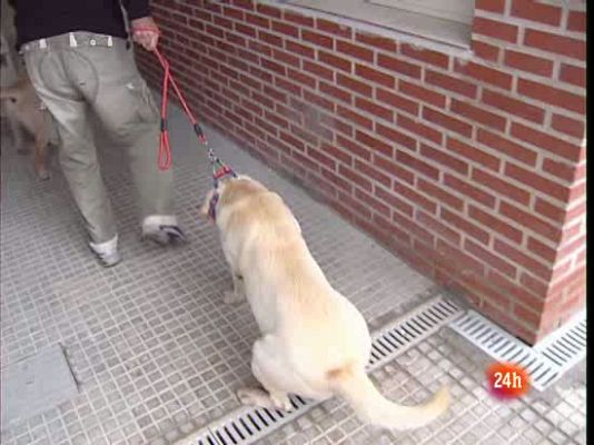 Ciencia y tecnología en Rtve.es - Perros que ayudan a reclusas
