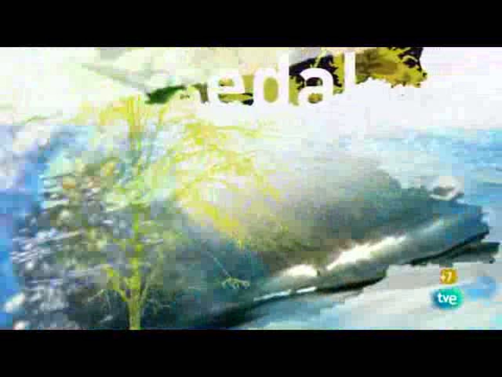 Jara y sedal - La pesca que veremos - Jara y sedal | Ver