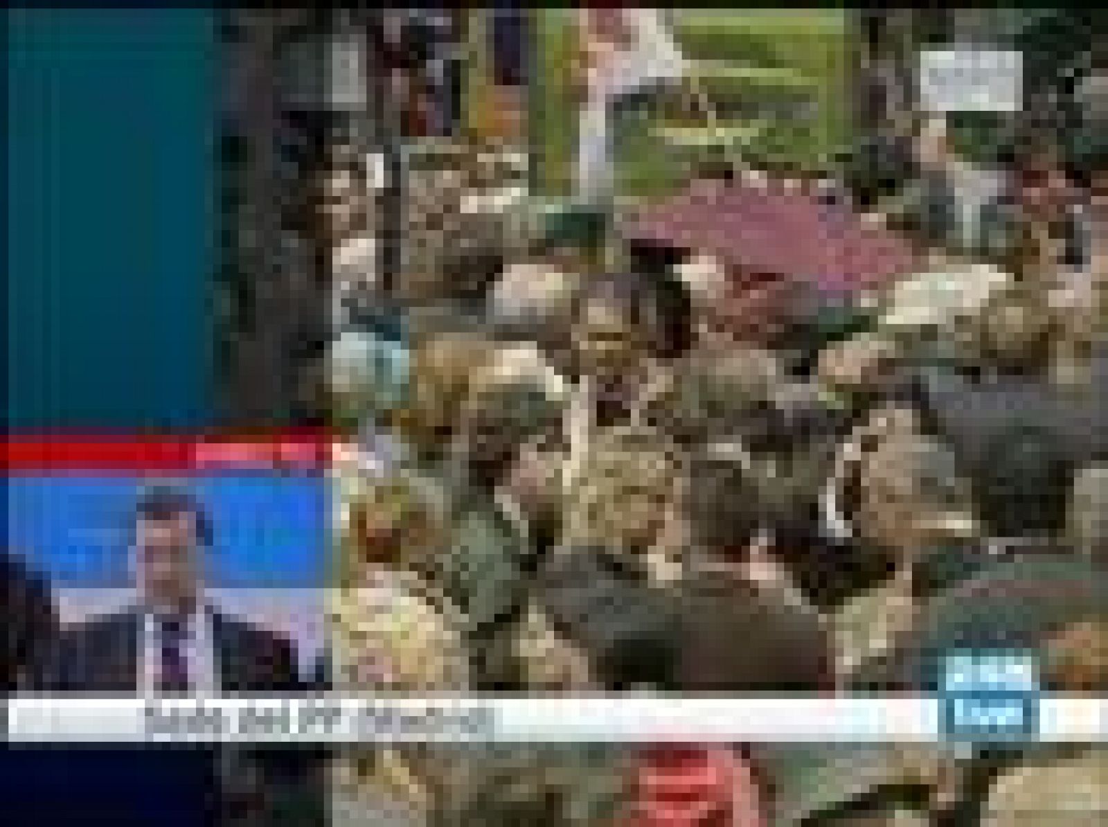 Sin programa: Rajoy: "No voy a tirar la toalla" | RTVE Play