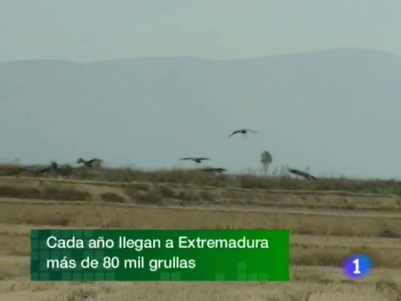  Noticias de Extremadura. Informativo Territorial de Extremadura. 17/11/2010.