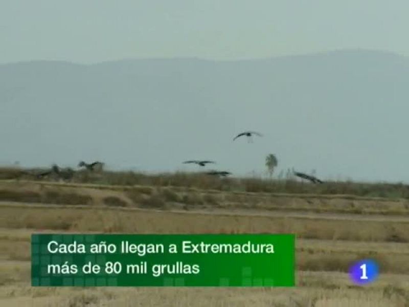  Noticias de Extremadura. Informativo Territorial de Extremadura. 17/11/2010.