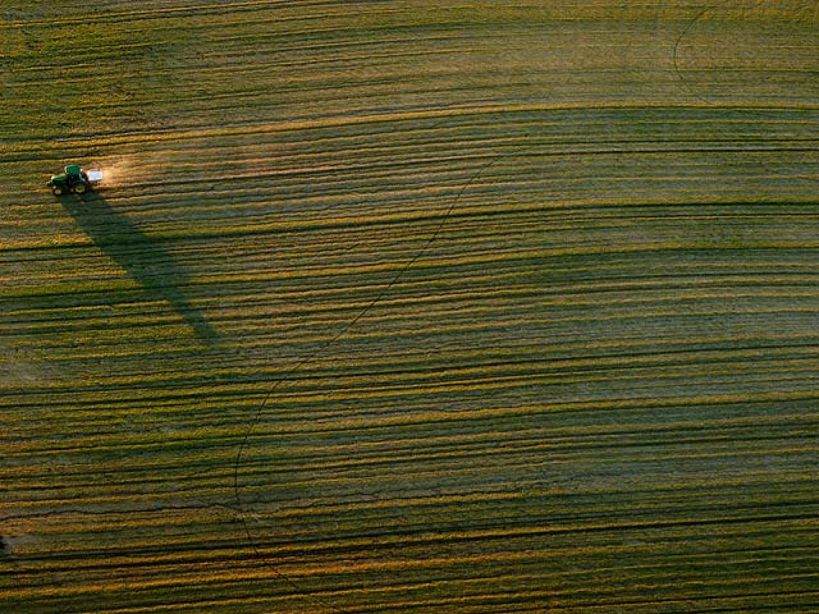 La Comisión Europea apuesta por cambiar subvenciones por primas al ecologismo en el agricultura | Ver