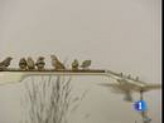  - Arte efímero en Madrid