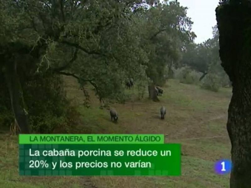 Noticias de Extremadura. Informativo Territorial de Extremadura. (18/11/10)