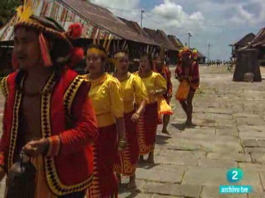 Retratos de danza - Algo más que movimiento