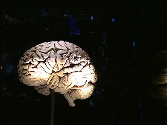 Los misterios del cerebro humano