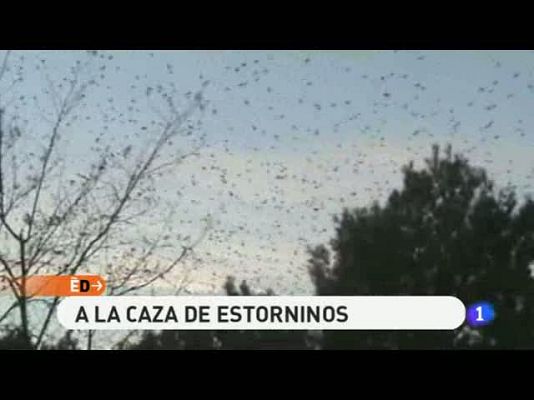 España Directo - España Directo - 18/11/10