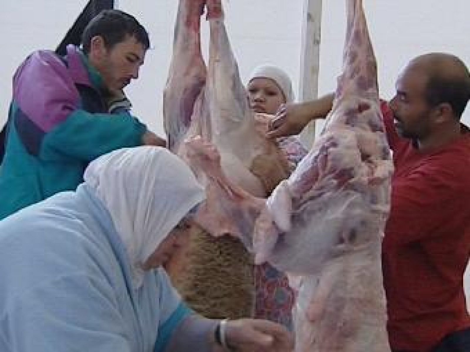 Noticias de Ceuta - 19/11/10